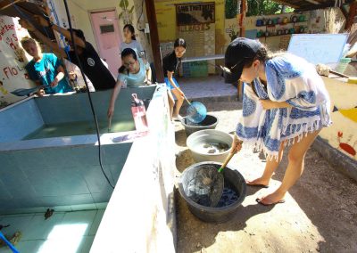 bali ubud Bali Bali Turtle ConservationTurtle conservation NUSA 31