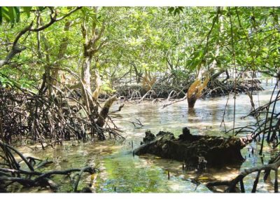 philippines environmental2